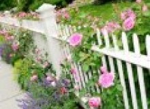 Kwikfynd Garden fencing
fernmount
