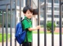 Kwikfynd School fencing
fernmount